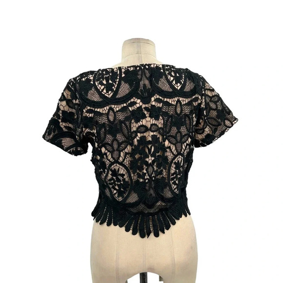 Lovers & Friends Black Lace Crop‎ Top Nude Short Sleeve Size Small - Picture 4 of 7